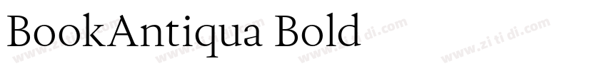 BookAntiqua Bold字体转换